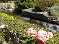 2014-06-01 11.14.39